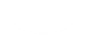 williams medical supplies logo
